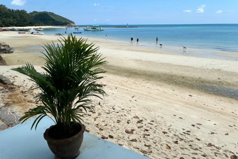 Villa à Surat Thani, Thaïlande 3 chambres № 151378 - photo 16