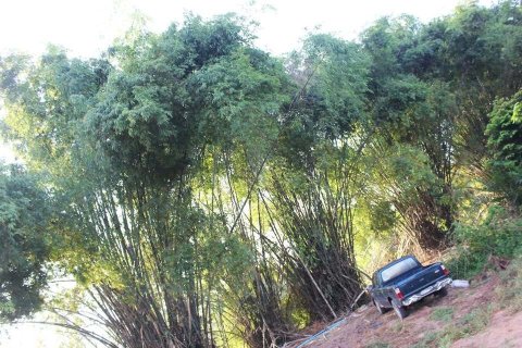 Земельный участок в Уттарадите, Таиланд 254400м2  № 152925 - фото 6