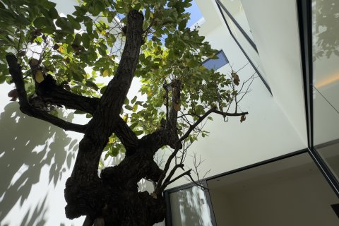 Вилла в Ханг Донге, Таиланд с 5 спальнями  № 152928 - фото 9