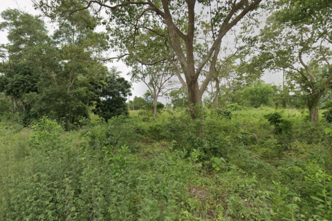 Land in Mai Khao, Thailand 130400 sq.m. № 152927 - photo 4