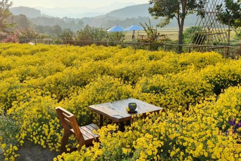Вилла в Чиангмае, Таиланд с 2 спальнями  № 162640 - фото 27