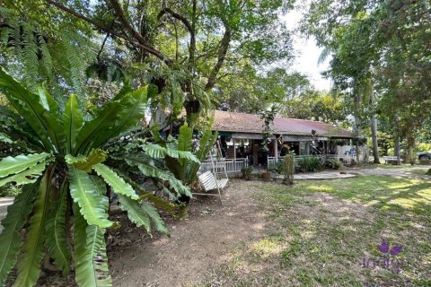 Коммерческая недвижимость в Чиангмае, Таиланд  № 162637 - фото 21