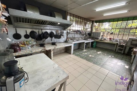 Коммерческая недвижимость в Чиангмае, Таиланд  № 162637 - фото 11