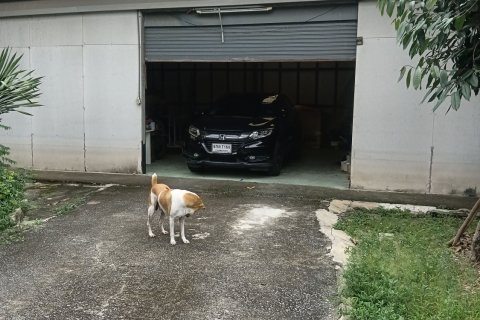 Land in Sai Mai, Bangkok, Thailand 436 sq.m. № 157918 - photo 6