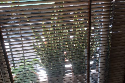 Townhouse à Bueng Kum, Bangkok, Thaïlande 3 chambres № 145129 - photo 16