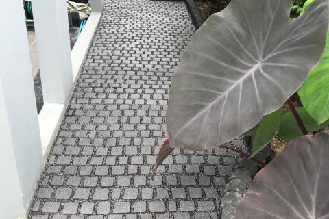 House in Lat Krabang, Bangkok, Thailand 4 bedrooms № 171940 - photo 11