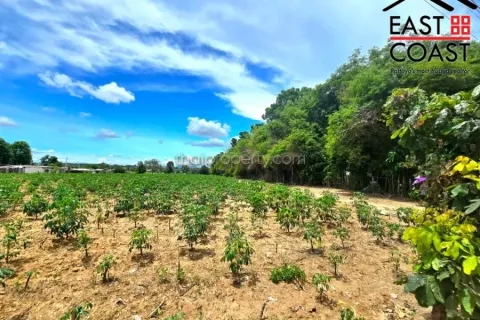 Terreno en Pattaya, Tailandia № 213426 - foto 6