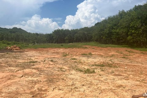 Land in Nuea Khlong, Thailand 14186 sq.m. № 151427 - photo 9