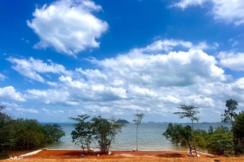 Land in Nuea Khlong, Thailand 14186 sq.m. № 151427 - photo 1