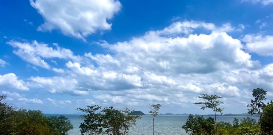 Land in Nuea Khlong, Thailand 14186 sq.m. № 151427