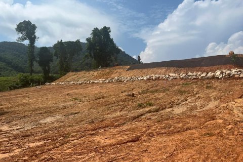 Land in Nuea Khlong, Thailand 14186 sq.m. № 151427 - photo 4