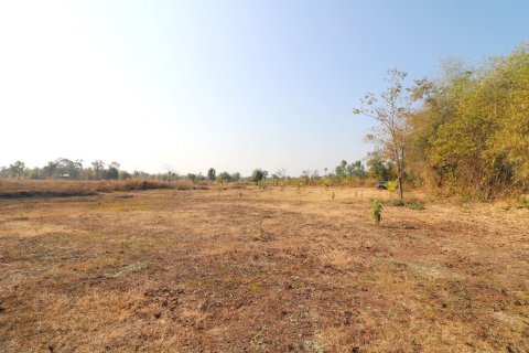 Land in Udon Thani, Thailand 41600 sq.m. № 138868 - photo 7