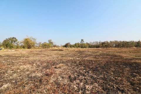 Land in Udon Thani, Thailand 41600 sq.m. № 138868 - photo 12