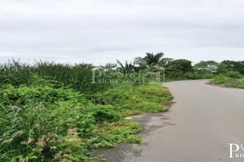 Land in Samut Sakhon, Thailand 49600 sq.m. № 158220 - photo 4