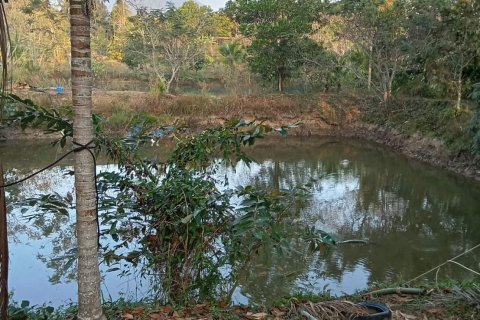 Land in Pong Nam Ron, Thailand 8000 sq.m. № 161814 - photo 7
