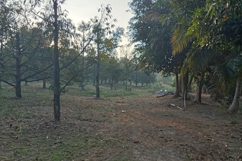 Land in Pong Nam Ron, Thailand 8000 sq.m. № 161814 - photo 2