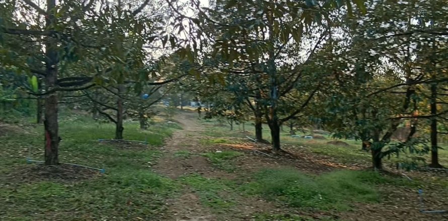 Land in Pong Nam Ron, Thailand 8000 sq.m. № 161814