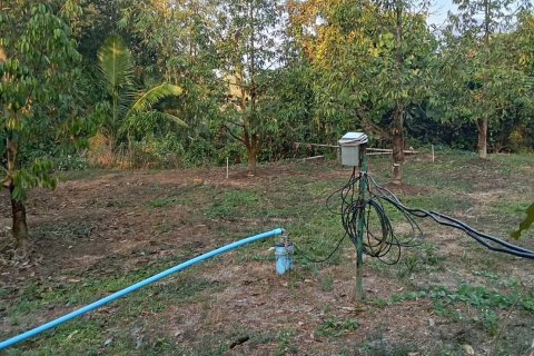 Land in Pong Nam Ron, Thailand 8000 sq.m. № 161814 - photo 5