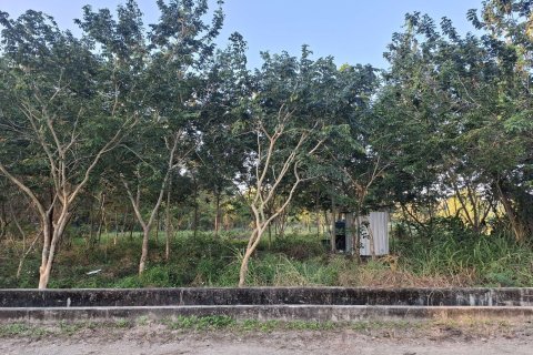 Земельный участок в Сан Па Тонге, Таиланд 4800м2  № 149833 - фото 2