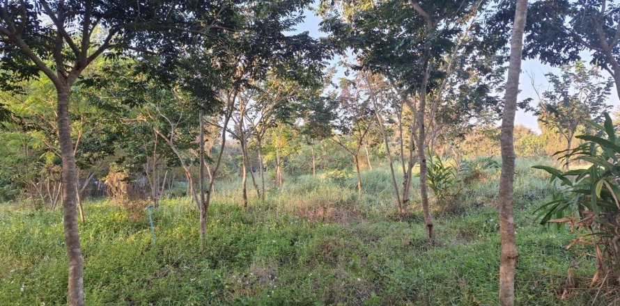 Земельный участок в Сан Па Тонге, Таиланд 4800м2  № 149833