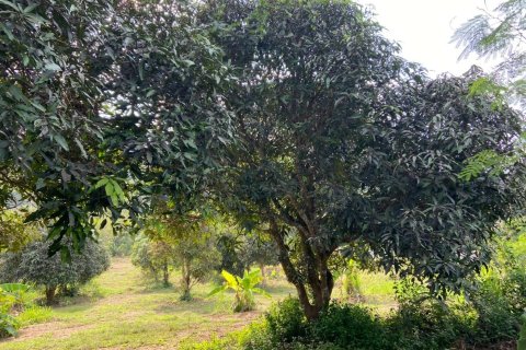 Land in Pattaya, Thailand 7200 sq.m. № 150174 - photo 4