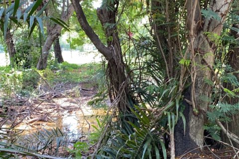 Land in Samut Prakan, Thailand 3200 sq.m. № 150169 - photo 2