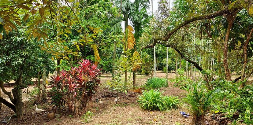 Land in Klaeng, Thailand 7779 sq.m. № 150173