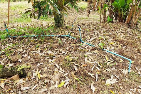 Land in Klaeng, Thailand 7779 sq.m. № 150173 - photo 14