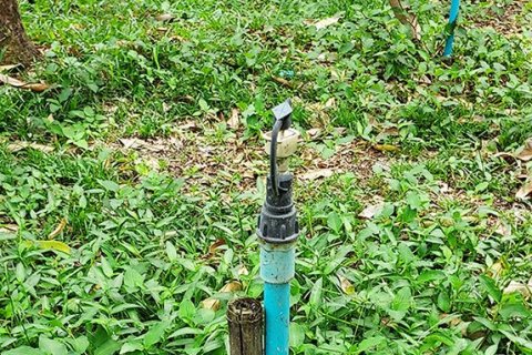 Land in Klaeng, Thailand 7779 sq.m. № 150173 - photo 15