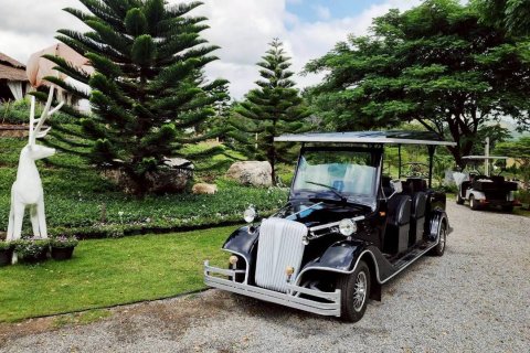 Land in Pak Chong, Thailand 29168 sq.m. № 152845 - photo 4