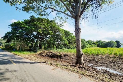 Land in Pak Chong, Thailand 29168 sq.m. № 152845 - photo 7