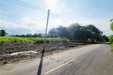 Land in Pak Chong, Thailand 29168 sq.m. № 152845 - photo 9