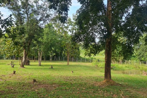 Villa in Chiang Rai, Thailand 3 bedrooms № 152847 - photo 30