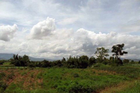 Land in Chiang Khong, Thailand 11200 sq.m. № 149029 - photo 2