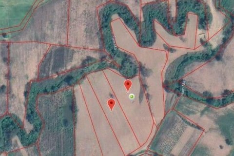 Land in Chiang Khong, Thailand 11200 sq.m. № 149029