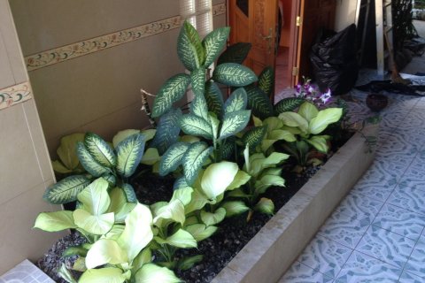 Maison à San Sai, Thaïlande 4 chambres № 163325 - photo 18