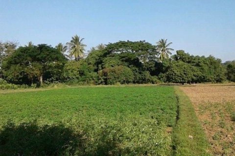 Land in Nong Khai, Thailand 20800 sq.m. № 164567 - photo 14