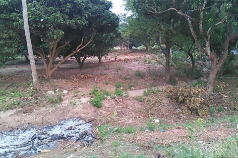 Land in Nong Khai, Thailand 20800 sq.m. № 164567 - photo 6