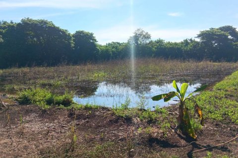 Land in Nong Khai, Thailand 20800 sq.m. № 164567 - photo 9