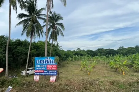 Land in Nong Khai, Thailand 20800 sq.m. № 164567 - photo 2