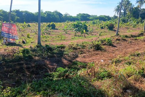 Land in Nong Khai, Thailand 20800 sq.m. № 164567 - photo 7
