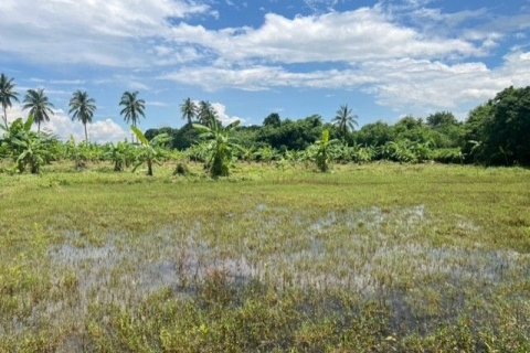 Land in Nong Khai, Thailand 20800 sq.m. № 164567 - photo 3