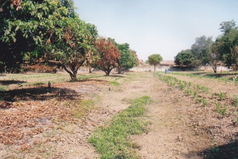 Land in Nong Khai, Thailand 20800 sq.m. № 164567 - photo 5
