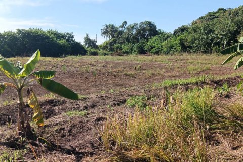 Land in Nong Khai, Thailand 20800 sq.m. № 164567 - photo 10