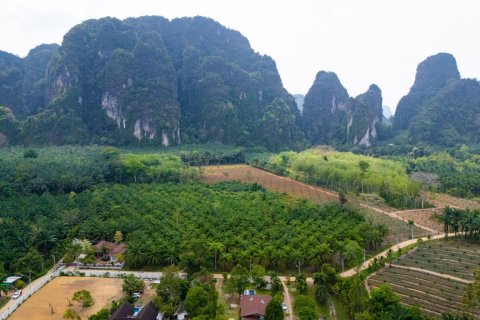 Villa à Krabi, Thaïlande 3 chambres № 173492 - photo 19