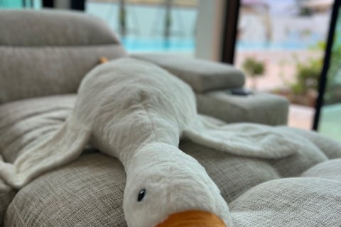 Дом в Паттайе, Таиланд с 4 спальнями  № 140089 - фото 3