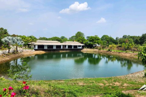 Коммерческая недвижимость в Чиангмае, Таиланд 850м2  № 172502 - фото 2