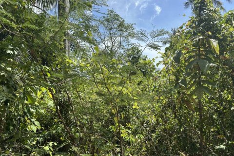 Земельный участок в Сураттхани, Таиланд  № 172935