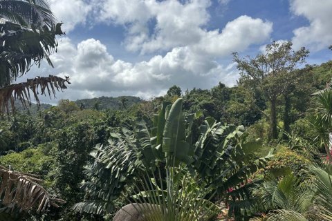 Земельный участок в Сураттхани, Таиланд  № 172935 - фото 2