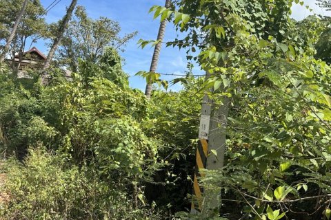 Земельный участок в Сураттхани, Таиланд  № 172935 - фото 5